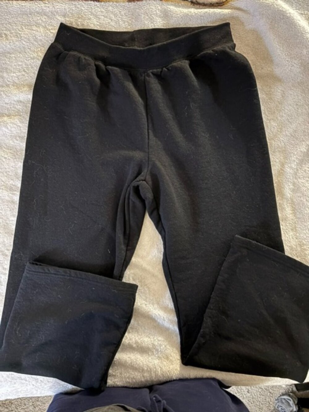 Hanes Women's Medium Fleece Black Ecosmart Sweat Pants